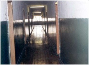 Кто в общаге хозяин?