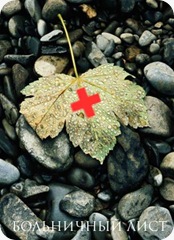 40aeb15738de29c444721c92744f4108