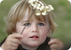 ребенок алименты