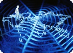 Адвокатская  консультация