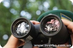 Погранслужба запрет на выезд